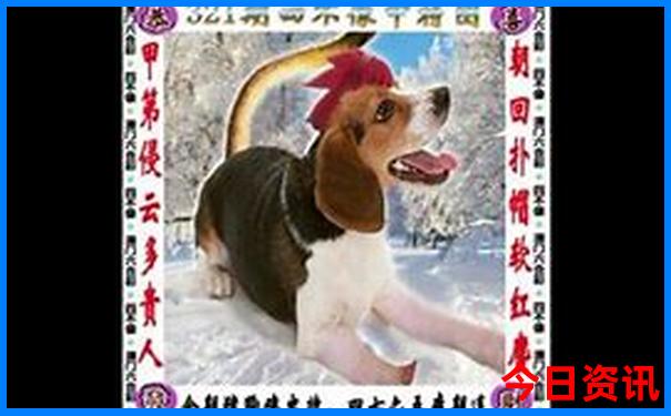 暑假适合带孩子去哪些地方