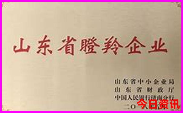 六天旅游去哪比较合适