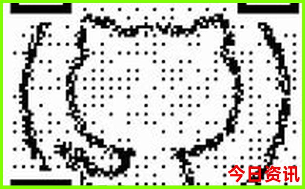 本地旅游攻略三天